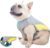 3_Cooling Harness Vest for Dogs French Bulldog Summer Cooling Vest