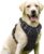 0_rabbitgoo Dog Harness, No-Pull Pet Harness with 2 Leash Clips, Adjustable Soft Padded Dog Vest, Reflective No-Choke Pet Oxford Vest with Easy Control Handle for Large Dogs, Black, L